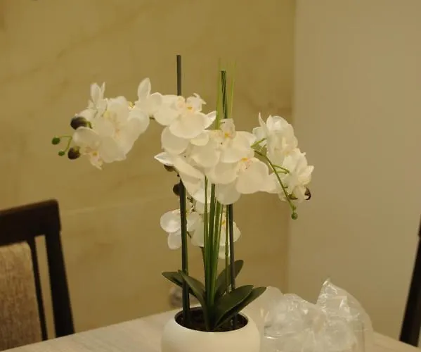 호스텔 Sobe_mis *